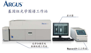 全基因组光学图谱分析系统 数据处理的核心技术与应用