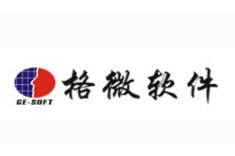 沈阳格微软件 深耕行业，以技术驱动数字化转型