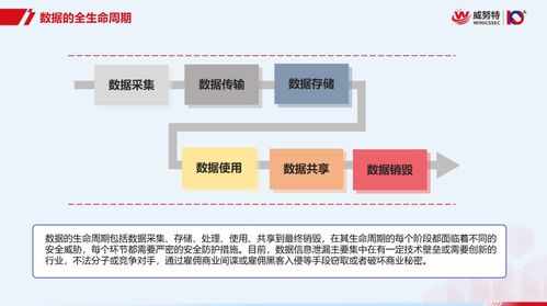 数据处理安全无忧 从零基础到精通的全生命周期防护秘籍